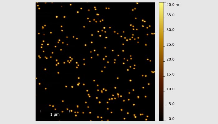 Nanoparticle Immobilised image