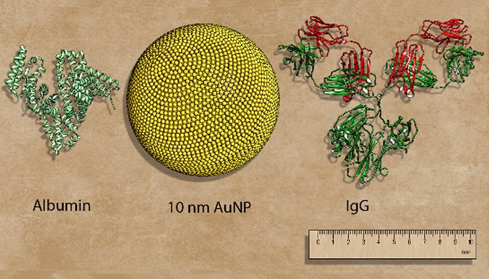 Nanoparticle image