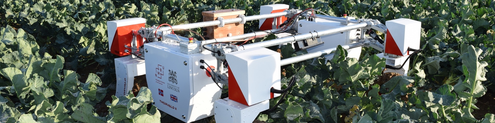 Thorvald robot in field
